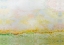 Picture of NANTUCKET SPRING