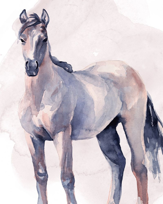 Picture of HORSE IN WATERCOLOR II