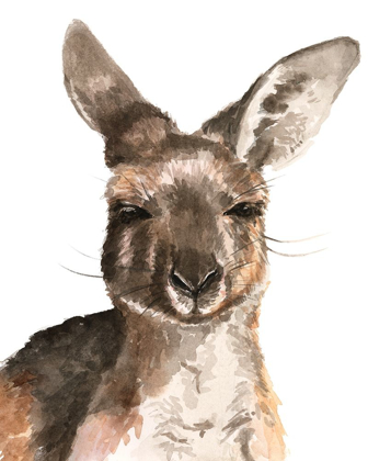 Picture of KANGAROO PORTRAIT I