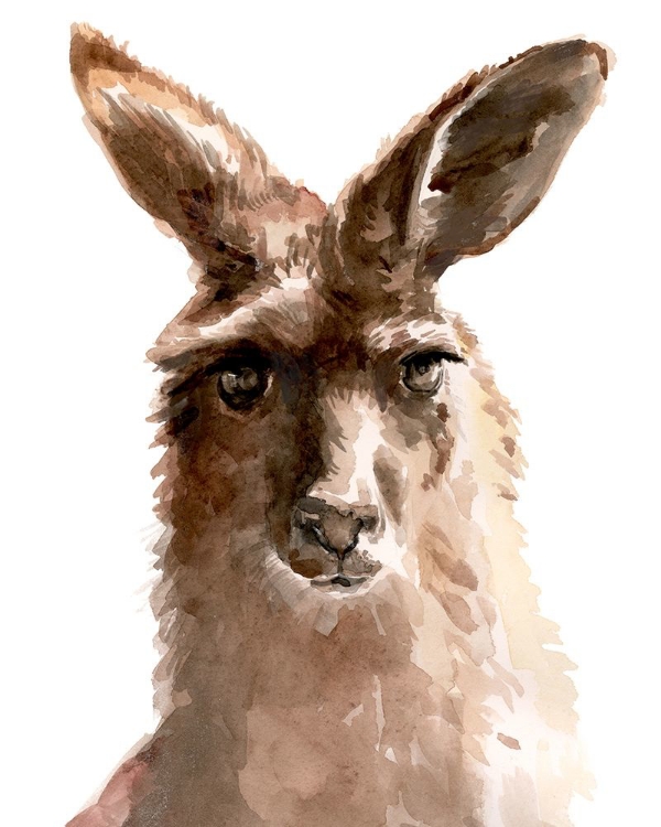 Picture of KANGAROO PORTRAIT II