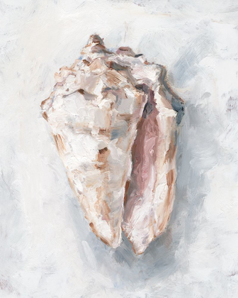 Picture of WHITE SHELL STUDY II