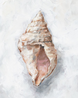 Picture of WHITE SHELL STUDY III