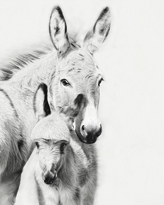 Picture of DONKEY PORTRAIT V