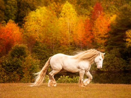 Picture of GOLDEN LIT HORSE VI