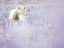 Picture of HORSE IN LAVENDER II