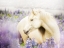 Picture of HORSE IN LAVENDER III