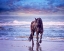 Picture of RUNNING IN THE SAND I