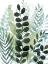 Picture of FOREST FORAGE I