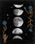 Picture of NIGHT MOON II