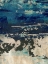 Picture of SILVER SURF I