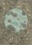 Picture of SEAFOAM AMOEBA I