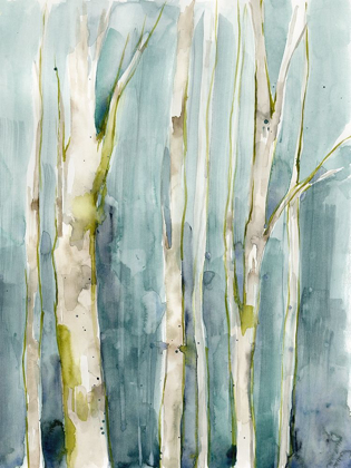 Picture of TREELINE WATERCOLOR II