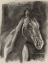 Picture of CHARCOAL HORSE STUDY ON GREY I