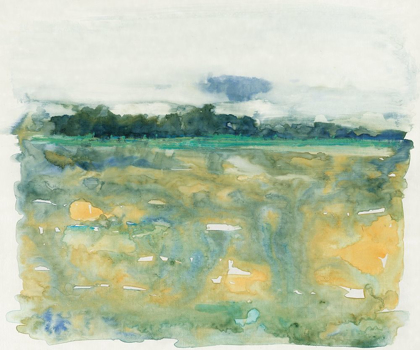 Picture of FLOWING LANDSCAPE II