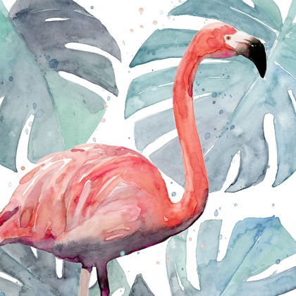 Picture of FLAMINGO SPLASH I