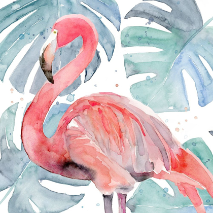 Picture of FLAMINGO SPLASH II