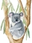 Picture of WOODLAND KOALA I