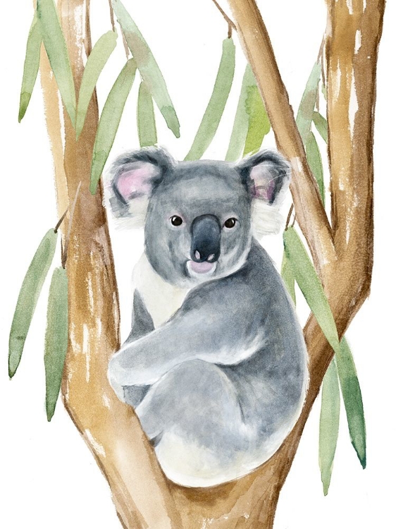 Picture of WOODLAND KOALA I