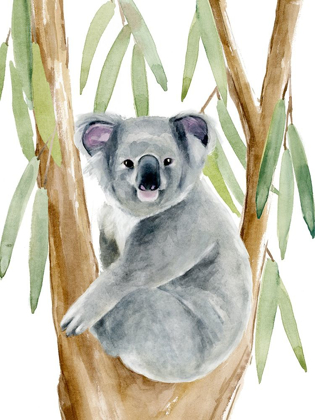 Picture of WOODLAND KOALA II