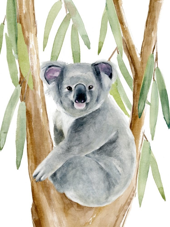 Picture of WOODLAND KOALA II