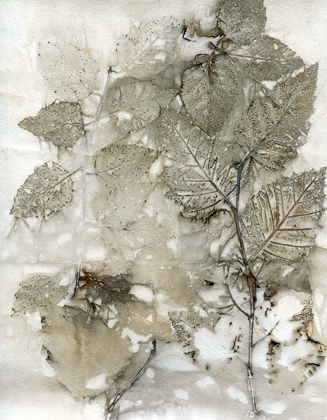 Picture of BIRCH LEAVES I