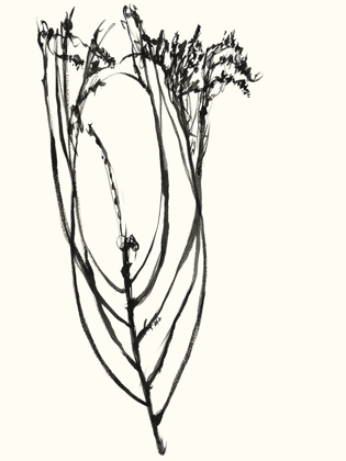 Picture of NAIVE FLOWER SKETCH I
