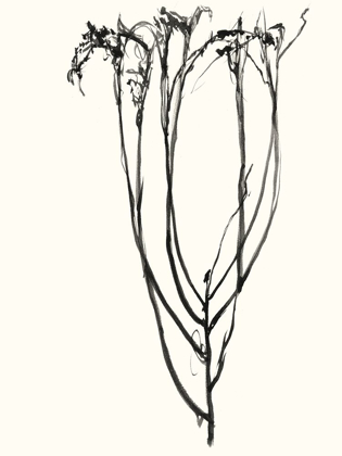 Picture of NAIVE FLOWER SKETCH II
