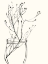 Picture of NAIVE FLOWER SKETCH VI