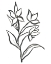 Picture of JONQUIL GESTURE I