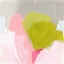 Picture of SPRING SWATCH II