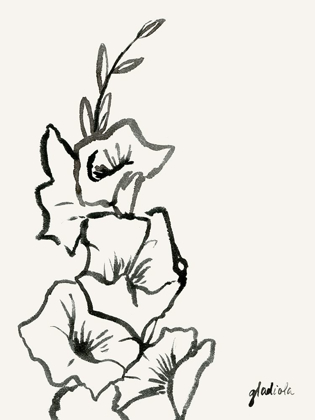 Picture of GLADIOLA SKETCH III