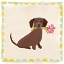 Picture of DACHSHUND DELIGHT IV