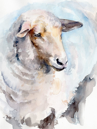 Picture of WATERCOLOR SHEEP I