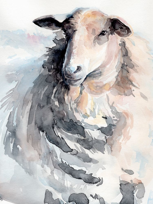 Picture of WATERCOLOR SHEEP II