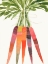 Picture of VIBRANT BUNCH I