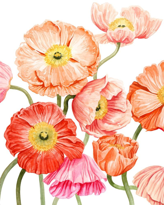 Picture of BRIGHT POPPIES I