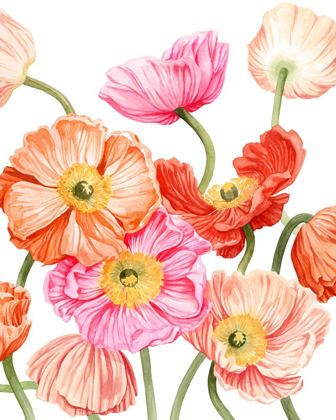 Picture of BRIGHT POPPIES II