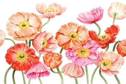 Picture of BRIGHT POPPIES III
