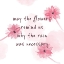 Picture of SUMMER QUOTE I