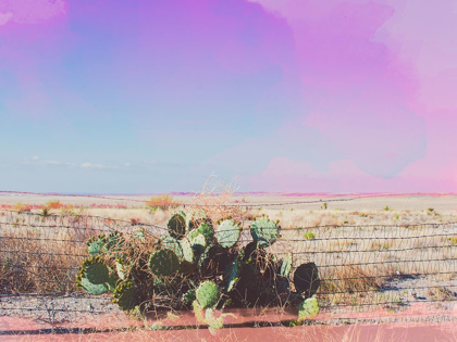 Picture of WEST TEXAS SCAPES I