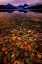 Picture of WATER AND LAND I