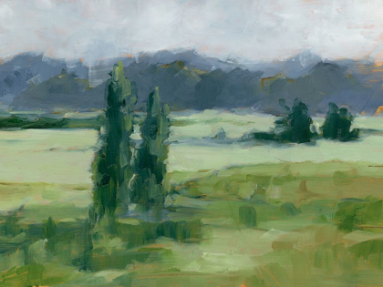 Picture of MISTY GREEN VALLEY I