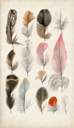 Picture of ANTIQUE BIRD FEATHERS III
