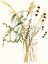 Picture of COMPOSITION IN VASE I