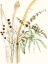 Picture of COMPOSITION IN VASE II