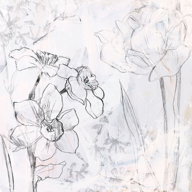 Picture of CONTOUR GARDEN FRESCO I