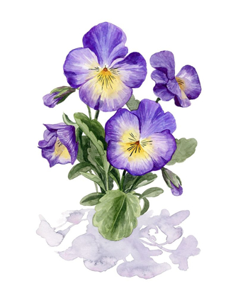 Picture of VIOLA PANSIES I