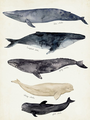 Picture of WHALE CHART II