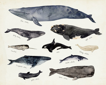 Picture of WHALE CHART III
