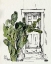 Picture of CACTUS DOOR I